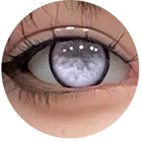 11.webp